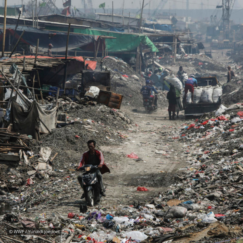 WWF's tweet photo. Shocking: In just under 20 years, global plastic waste has doubled 😧 Driven by single-use plastic products.

And the people who've done the least to contribute to this crisis are most impacted.

We can’t let this continue. #StopPlasticPollution: https://t.co/ZVCuarBFbX #INC4