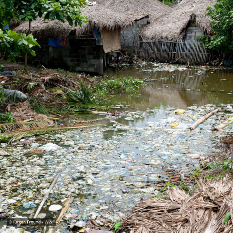 WWF's tweet photo. Shocking: In just under 20 years, global plastic waste has doubled 😧 Driven by single-use plastic products.

And the people who've done the least to contribute to this crisis are most impacted.

We can’t let this continue. #StopPlasticPollution: https://t.co/ZVCuarBFbX #INC4