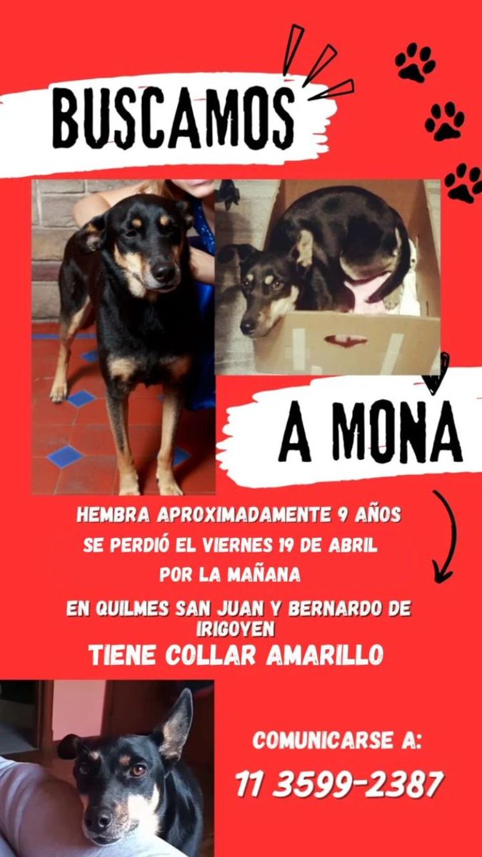 0405MarisaR's tweet photo. @lavozdelosotros @CanalQuilmes @QuilmesMuni @78_noti @miradaenquilmes @AdopcionesQ @BomberosQuilmes @QuilmesHCD @Quilmes_Cerveza @PublicosQuilmes https://t.co/KBqZTLprDA