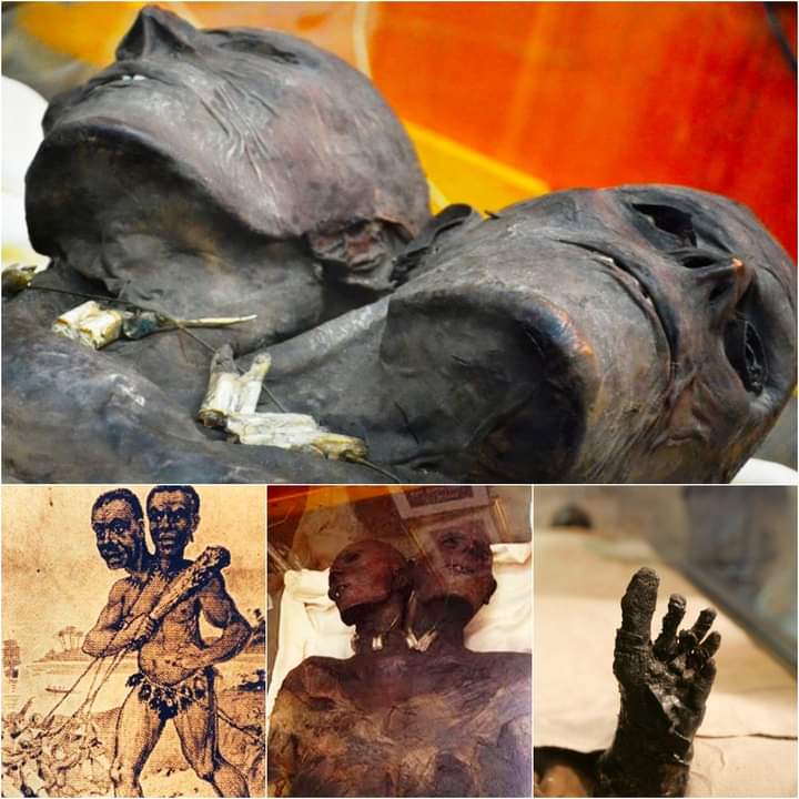 Ancient Excavation Unearths Enigmatic Two-Headed Giant Mummy (Details in comments👇)
#AlienEncounters #AncientMysteries #シグウィン #アンメット #キュウゴー #あなたのタイプ #キミの隣ににじさんじ  #サッカー日本代表 #제노생일축하해_사랑행_후헹헹