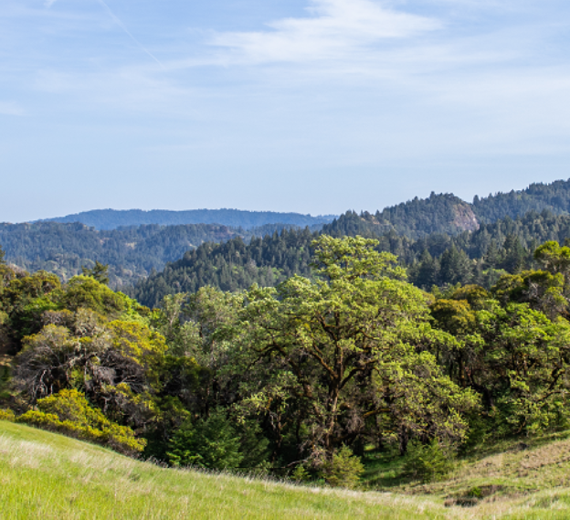 Happy Earth Day! Check out all the ways SSU is working to create a more sustainable campus! @SustainableSSU sustainablessu.sonoma.edu 🌍🌈🌼☘️ @SSU_1961