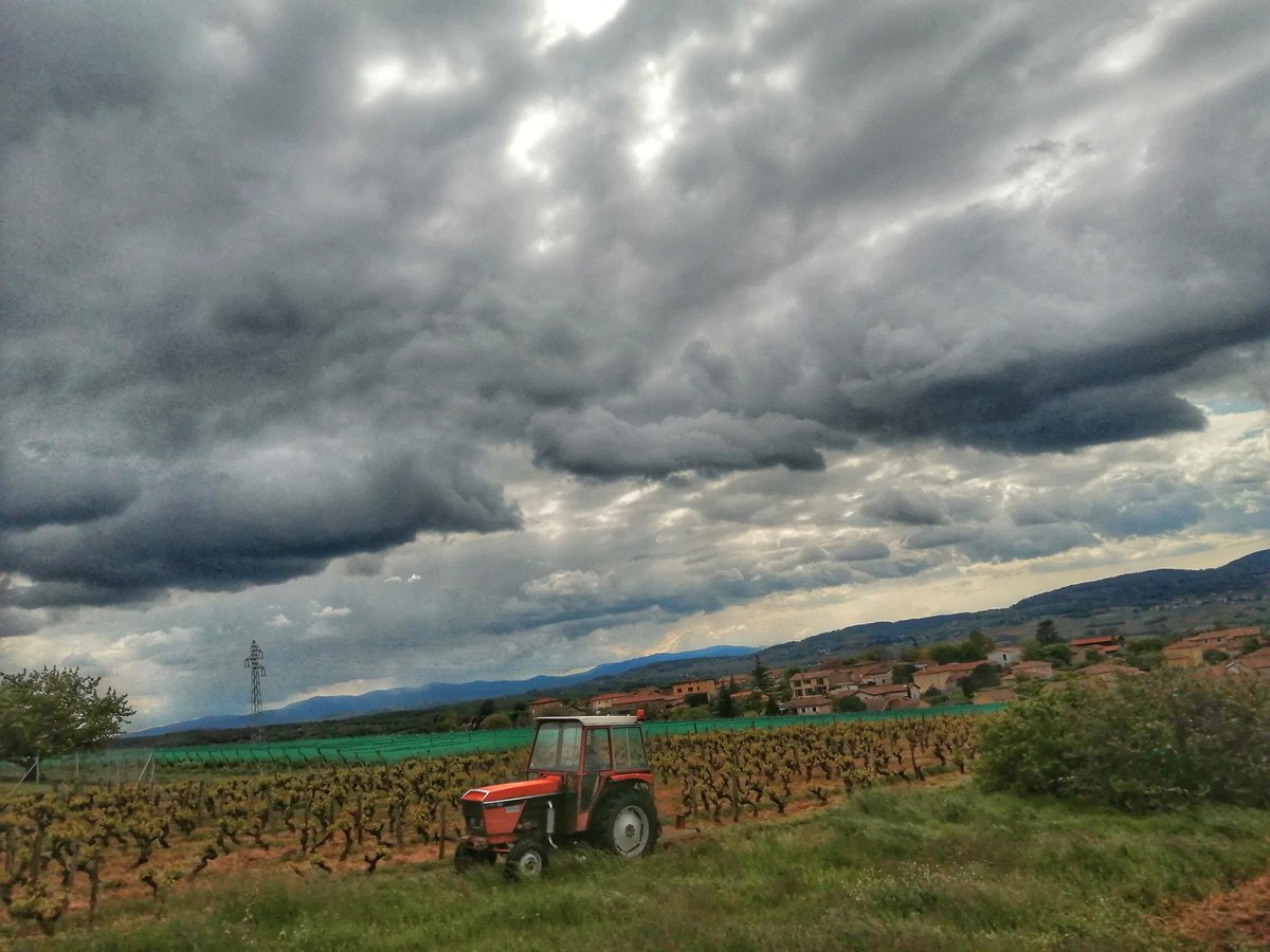 ElisabethLaffay's tweet photo. #366JoursChezDesVignerons
Jour 113
3 à 9 ° et rafales de vent 🥶
Alors à l'abri 😊
Philippe dans la cabine du tracteur pour passer le girobroyeur dans les charrois de vigne 🚜✂️
(rentré malgré tout gelé à midi 🧊)
Et moi à la maison avec plongée dans la compta 🧮🤗
#onsadapte https://t.co/iYXKvJrVgC
