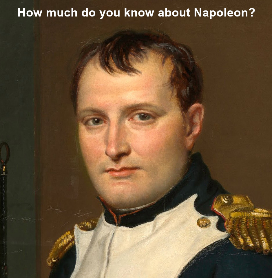 How much do you know about Napoleon Bonaparte? Find out with this fun little 10-question quiz at FreeSpeedReads.com/napoleon-quiz (#Napoleon, #Bonaparte, #NapoleonBonaparte, #France, #FrenchHistory, #EuropeanHistory, #worldHistory, #Egypt, #military, #warfare)