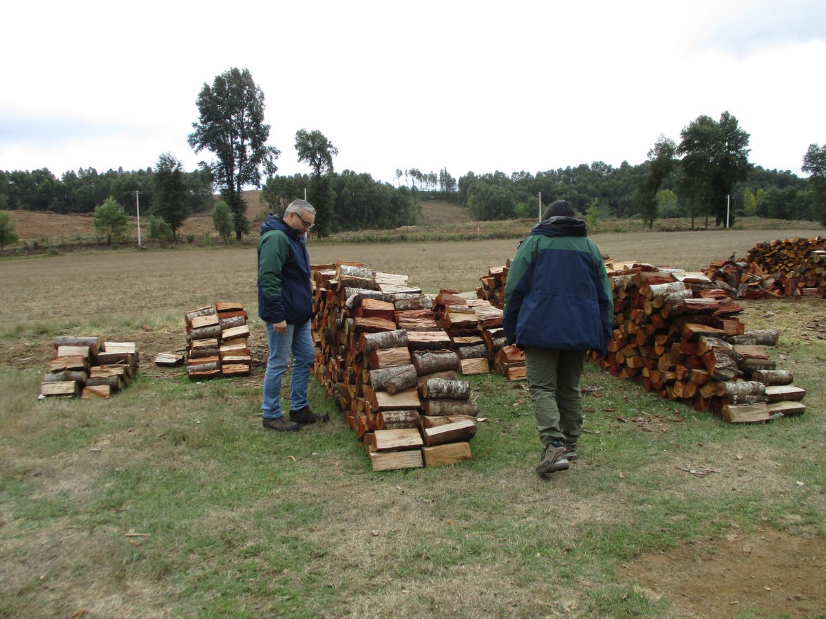 Nuestro equipo provincial de #Biobío realizó una fiscalización a un centro de acopio de madera nativa🪵 en la comuna de #SantaBárbara, para verificar su procedencia legal.