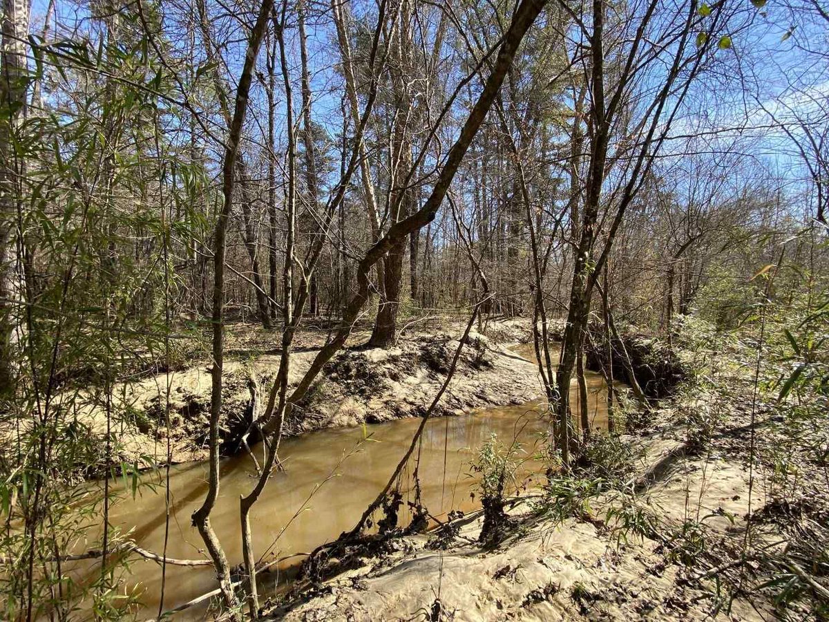 285 +/- Acres - Bullock County, AL - $798,000
Will Herndon 334-321-1821
Located in southern Bullock County on County Road 8 near Perote, AL.
buff.ly/43HaidR 
#trustedlandprofessionals #tuttlandco #forsaleinalabama #landforsale