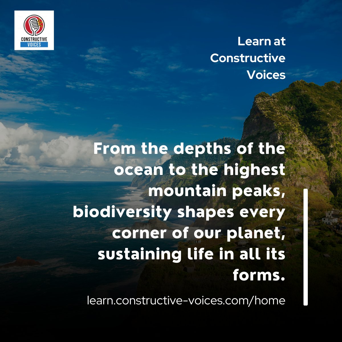 'From the depths of the ocean to the highest mountain peaks, biodiversity shapes every corner of our planet, sustaining life in all its forms.' #biodiversity #biodiversitynetgain #training - learn.constructive-voices.com/home/