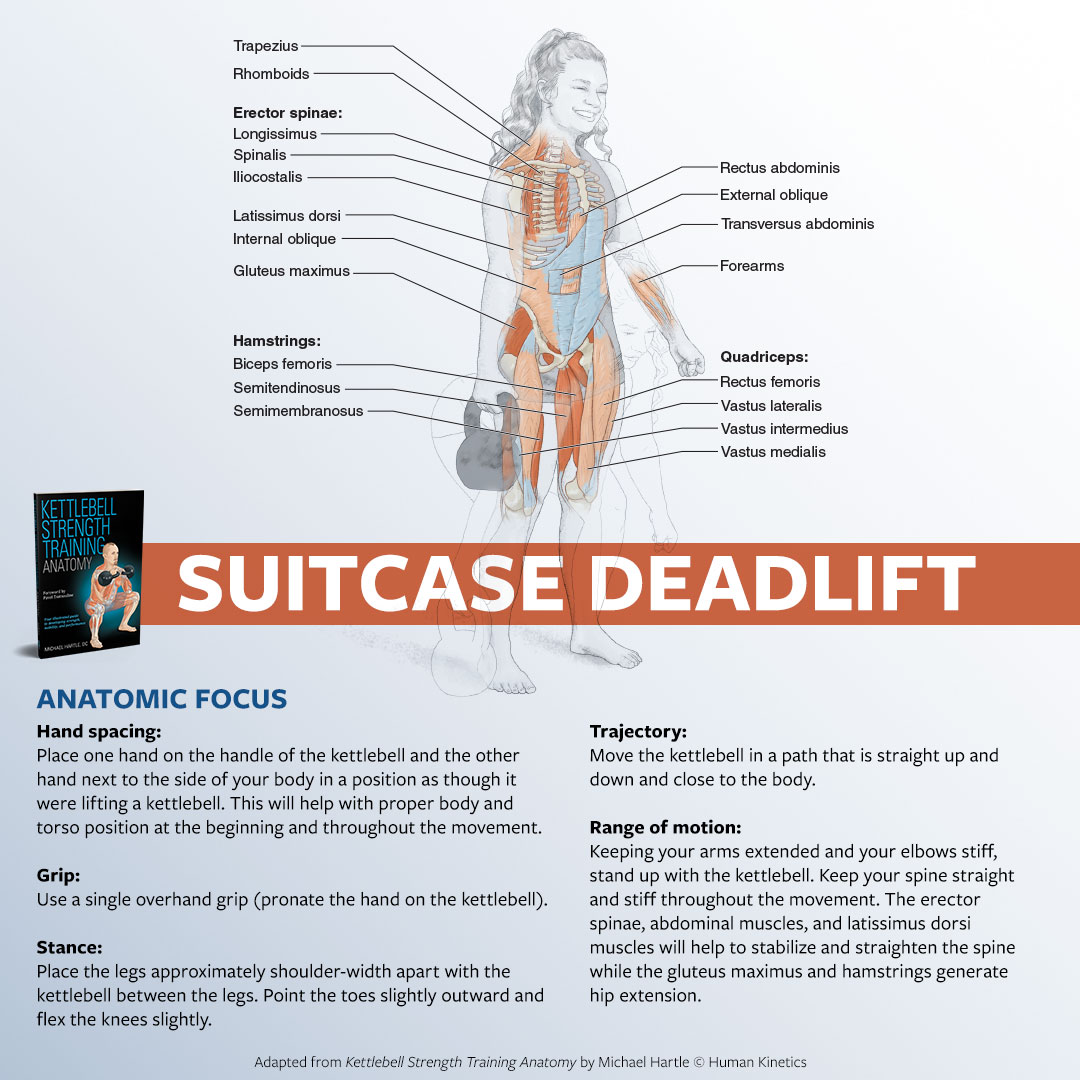 The single kettlebell deadlift with one hand, outside the legs, also known as the suitcase deadlift, teaches you to lift an asymmetrical load while keeping your spine, hips, and pelvis centered.
Learn more: amzn.to/3scPT1O
#deadlift #kettlebell #suitcase @human_kinetics