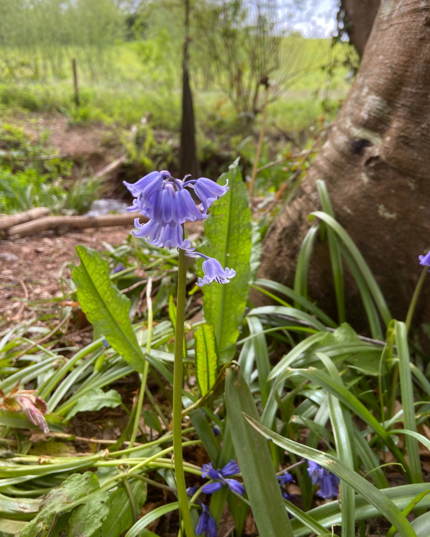 As you may already know (or have guessed!), here at The Outdoors Group we are passionate about looking after the planet, in any way we can.  So of course, we couldn’t let Earth Day go past unmarked today. Head over to outdoorsgroup.co.uk/blog/earth-day… to see our thoughts on #EarthDay!
