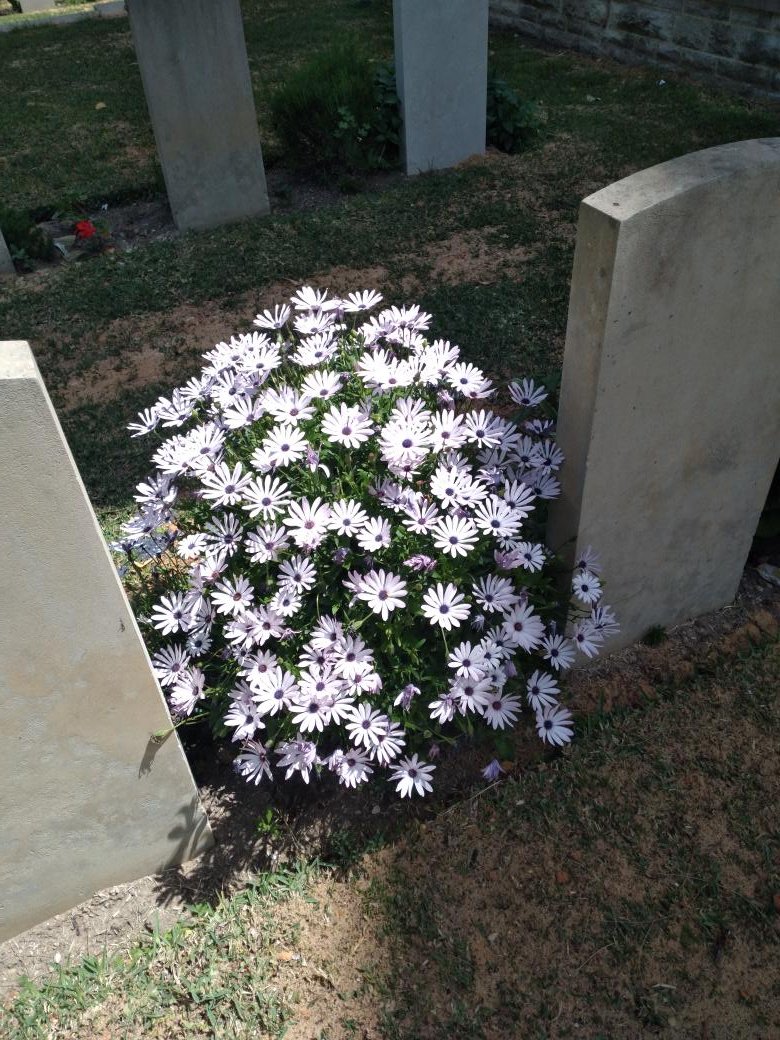 Thank you my boss beja WC beautiful view 😍