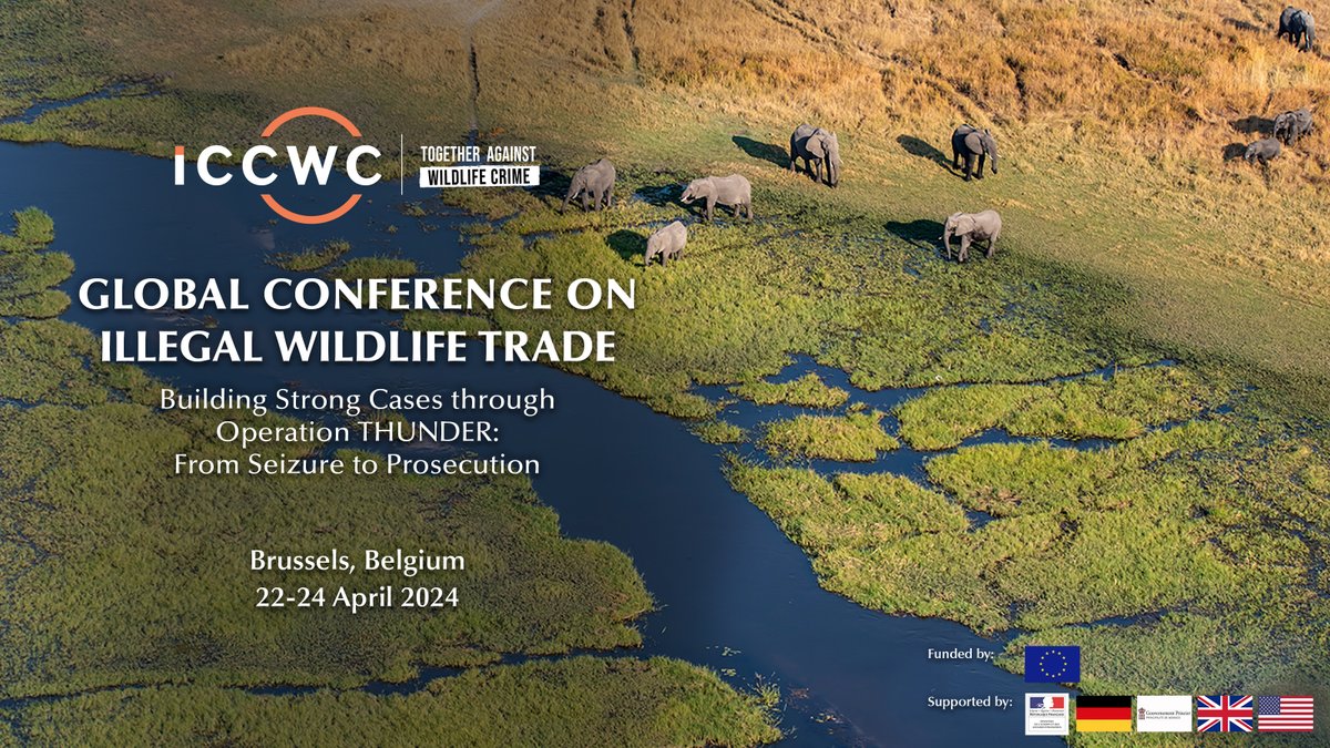 ICCWC_FR tweet picture