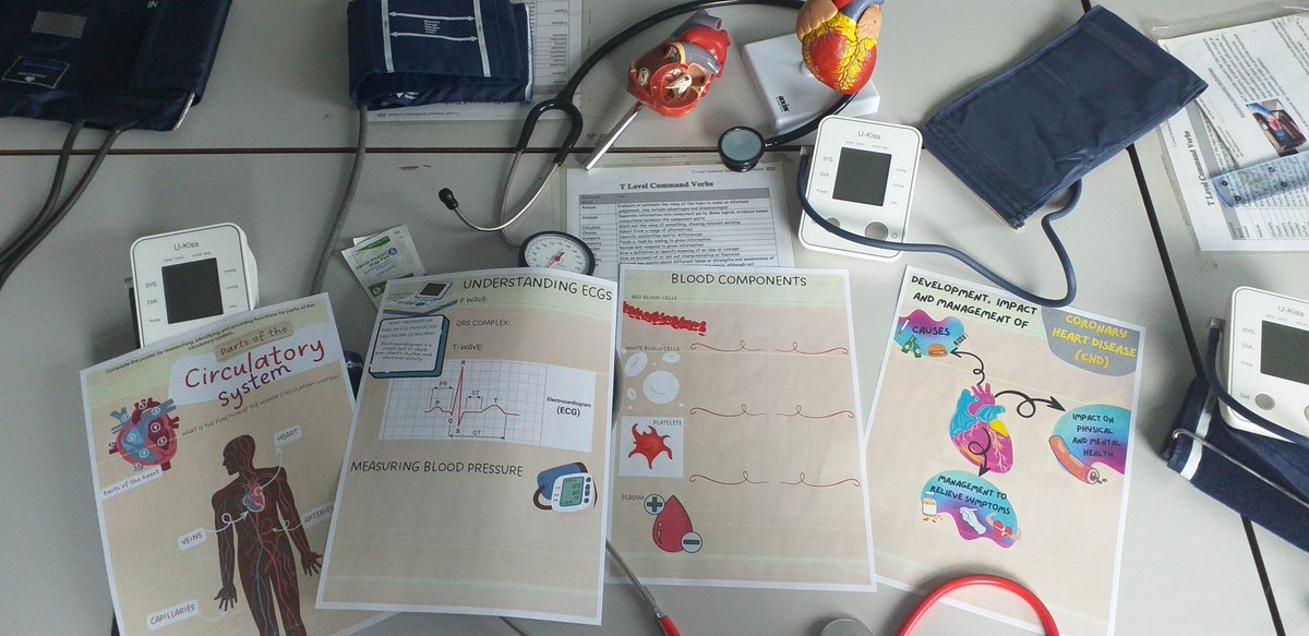 T-Level Health Circulatory revision ❤