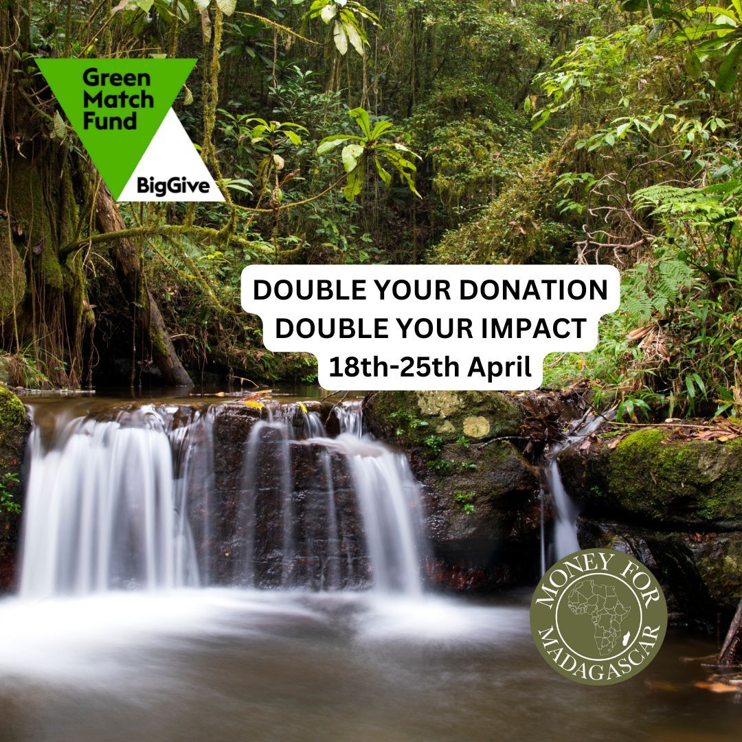 Remember that donations are doubled through the Big Give Campaign this week! buff.ly/4cXrDmZ #charity #biggive #greenfund