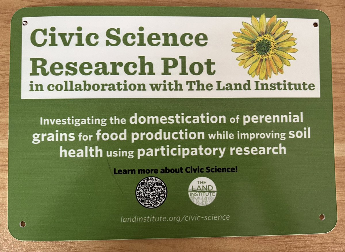 🌻 Excited to be participating in the #PerennialAtlas Civic Science Project with @NatureAsMeasure! 🗺️ Volunteers across the country will be growing annual + perennial grain crops and gathering data to help build a perennial atlas (set of maps) outlining crop performance.