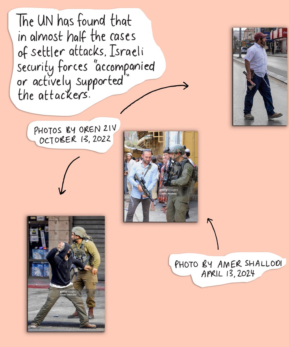 Mona Chalabi tweet media