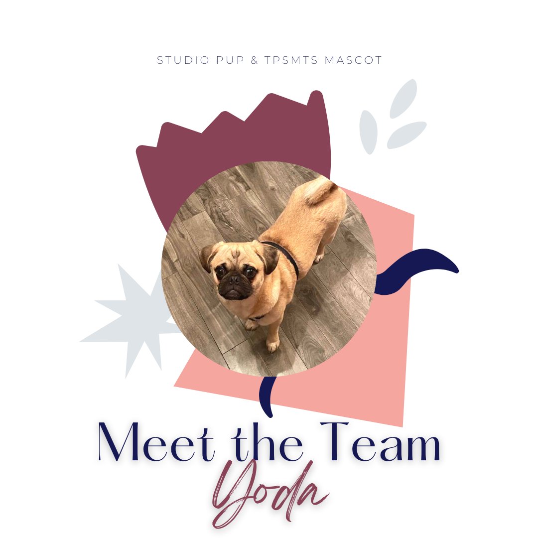Say HELLO (BARK!) to Yoda -- Studio Pup &amp; TPSMTS Mascot! 🐶