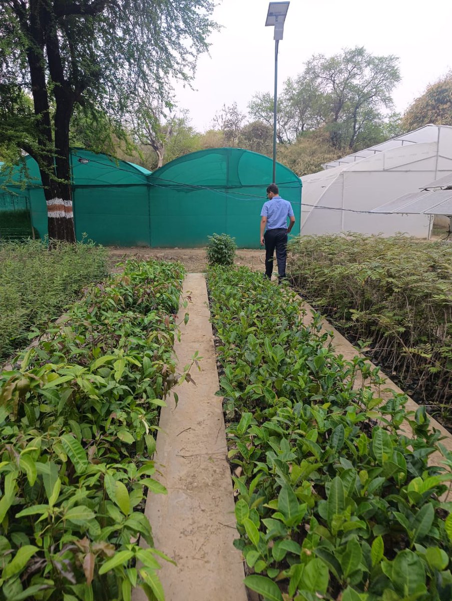 Amidst the jewellery of Earth on #EarthDay2024 (Inspection of Nurseries)