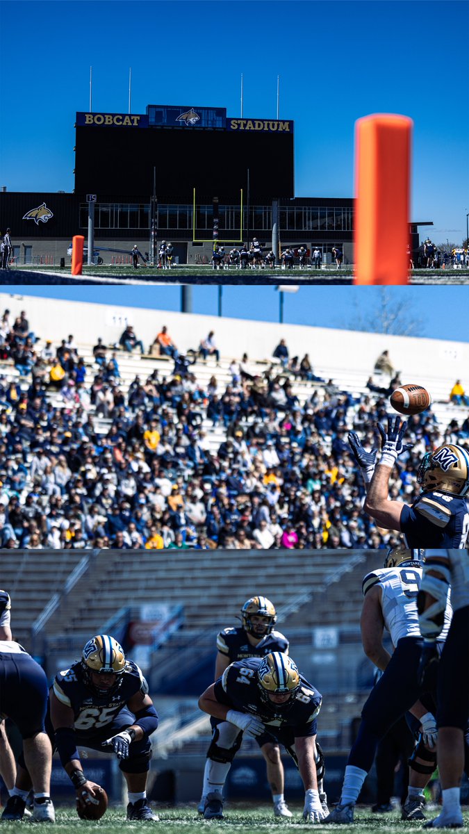 Montana State Football tweet media