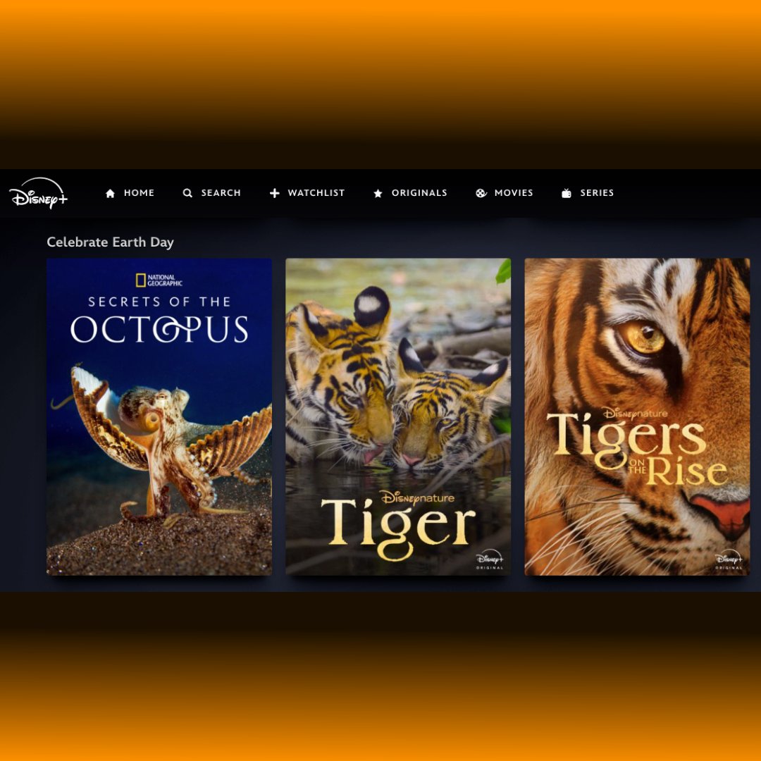 Celebrate Earth Day with <a href="/WildstarFilms/">Wildstar Films</a>' brand-new documentaries #Tiger &amp; #SecretsOfTheOctopus.🐅

From the forests of India to the depths of the oceans, the stories lift the lid on some of the planet's most interesting and intelligent species.

Both launch today on <a href="/DisneyPlus/">Disney+</a>.
