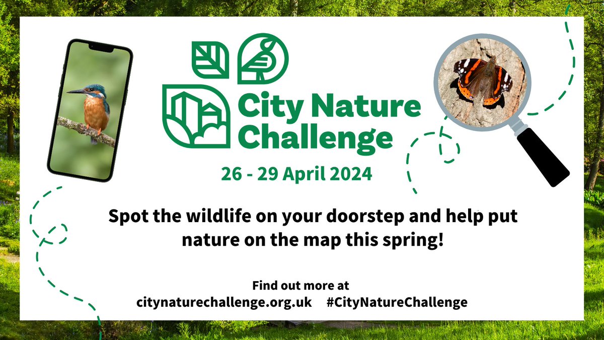 #CityNatureChallenge is back! Join nature enthusiasts from 26 - 29 April in collecting photos of local wildlife and help conservation efforts across the UK. No expert knowledge needed - download the @‌iNaturalist app to get started 🐞🌼 citynaturechallenge.org.uk