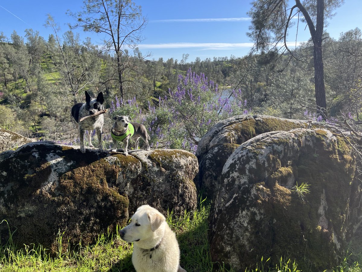 Lynn Herring (@thelynnherring) on Twitter photo Happy 🌎 Day❣️Hope you can spend some time outside today! <a href="/GeneralHospital/">General Hospital</a> thankful!🌳 Happy 🌎 Day❣️Hope you can spend some time outside today! <a href="/GeneralHospital/">General Hospital</a> thankful!🌳