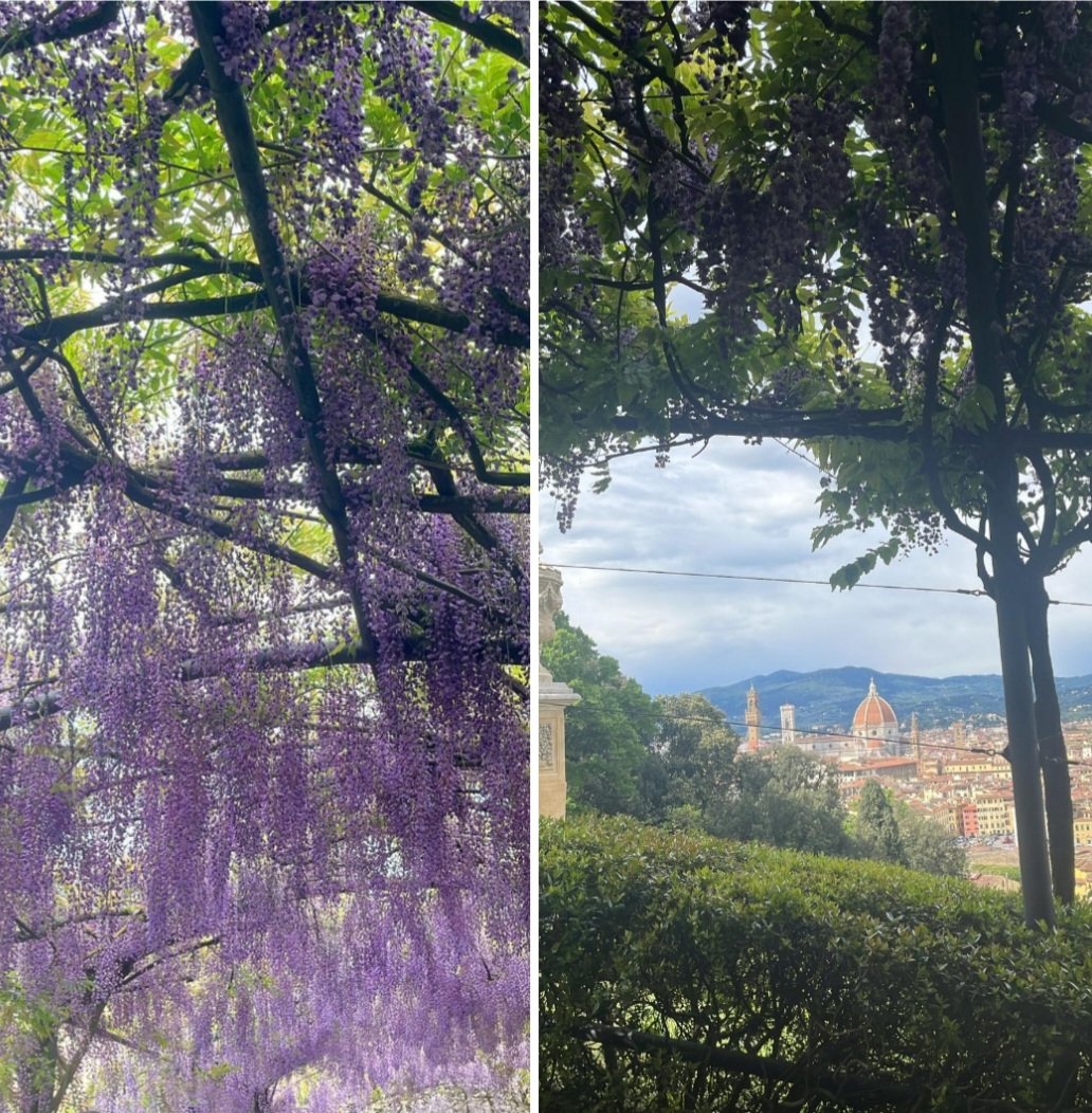 Villa Bardini a Firenze da non perdere in questo periodo col glicine in fiore e un panorama bellissimo 📷mia