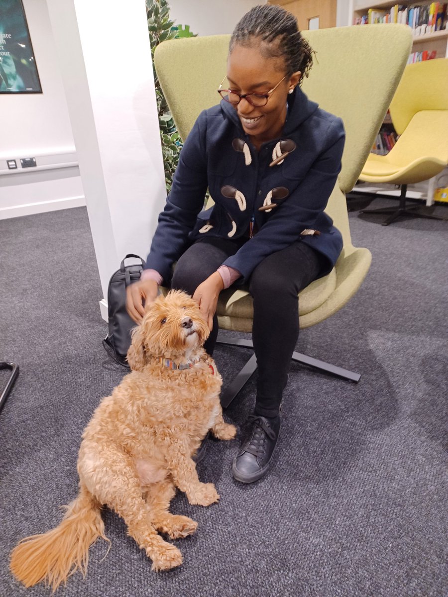 Thank you to all the readers who visited us and our therapy dog in the RSL last week. Thanks also to @PetsAsTherapyUK for connecting us with Kip. We hope you found it beneficial. Keep an eye out in the library for details of future therapy dog events.
#TherapyDogs #Wellbeing