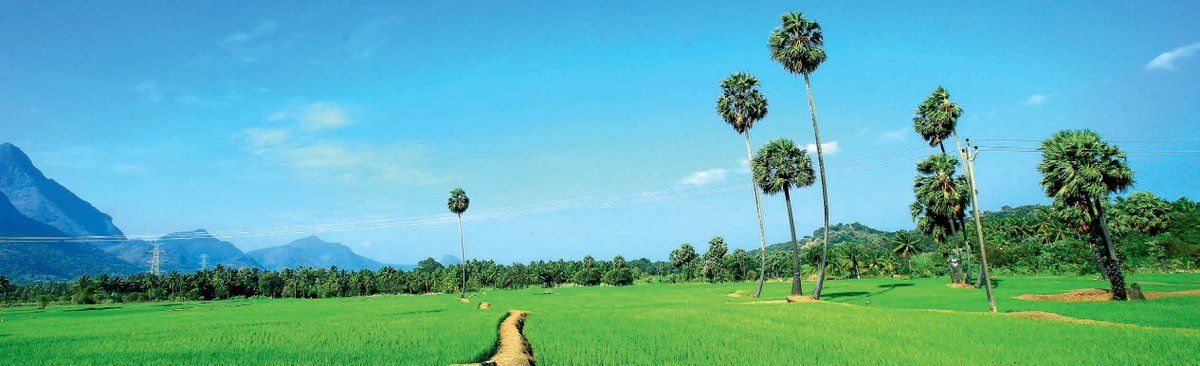 Kollengode, Palakkad. This region lies at the heart of Vedic ritual tradition in Kerala.