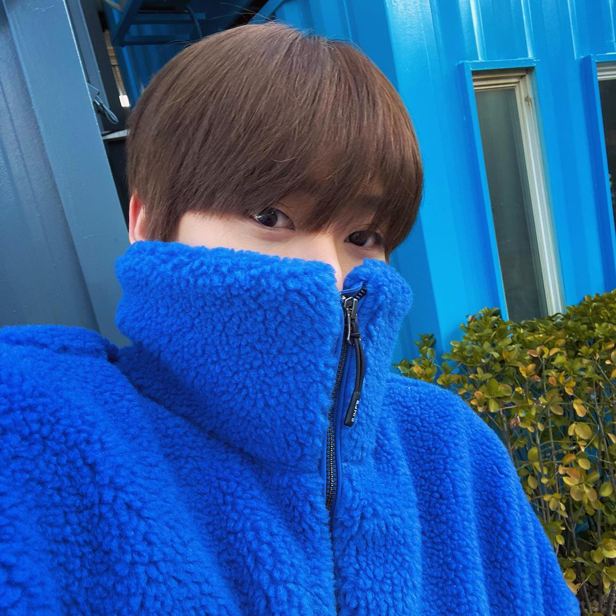 bhm__700's tweet photo. 이케 눈만 빼꼼 하는 사진 너무 커여움!!!!! https://t.co/HNm8aAYb0r