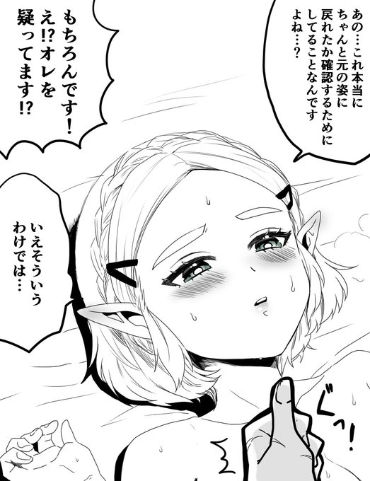 ちょっと不安になっちゃったゼルダ様 