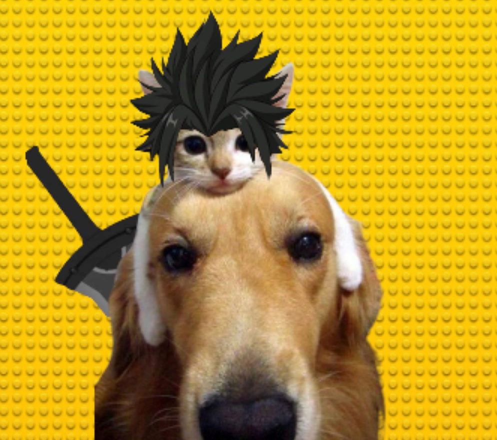 DogWifCatBase's tweet photo. @jessepollak You should just call us Dog wif Cat 😂 The Cat stays on! https://t.co/tONiXK2JBy
