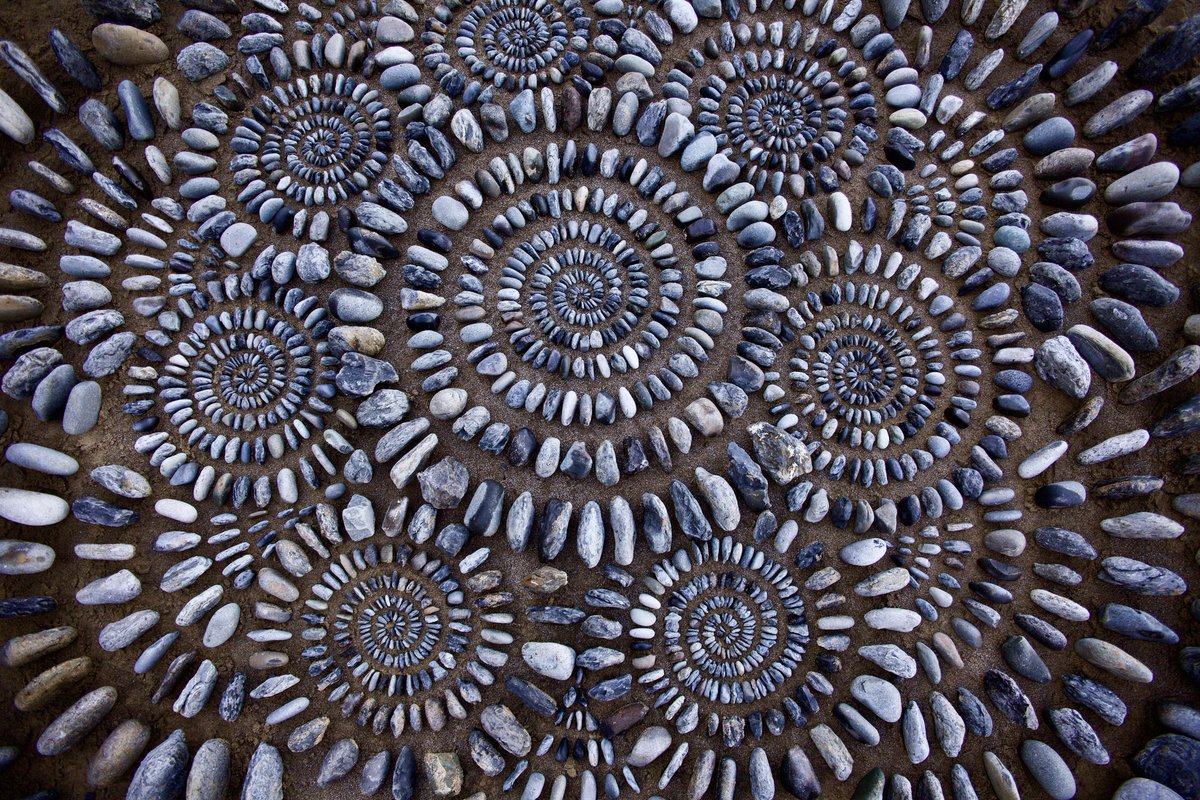 🎉 New dates for @RFJamesUK's Coastal Ecologies! 🎉

The exhibition will now run from 6 July - 1 Sept in Scarborough Art Gallery 👇

scarboroughmuseumsandgalleries.org.uk/whats-on/event…
