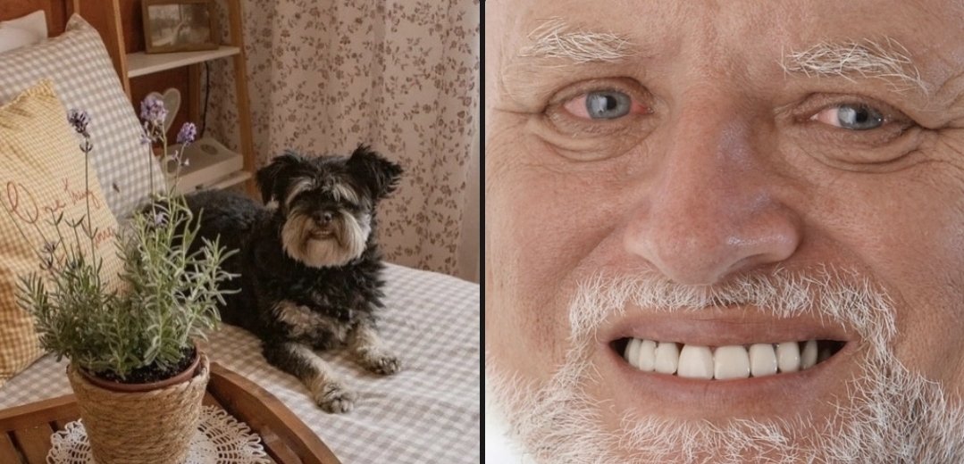 Увидела на Пинтересте собачку, она мне кого-то напомнила...