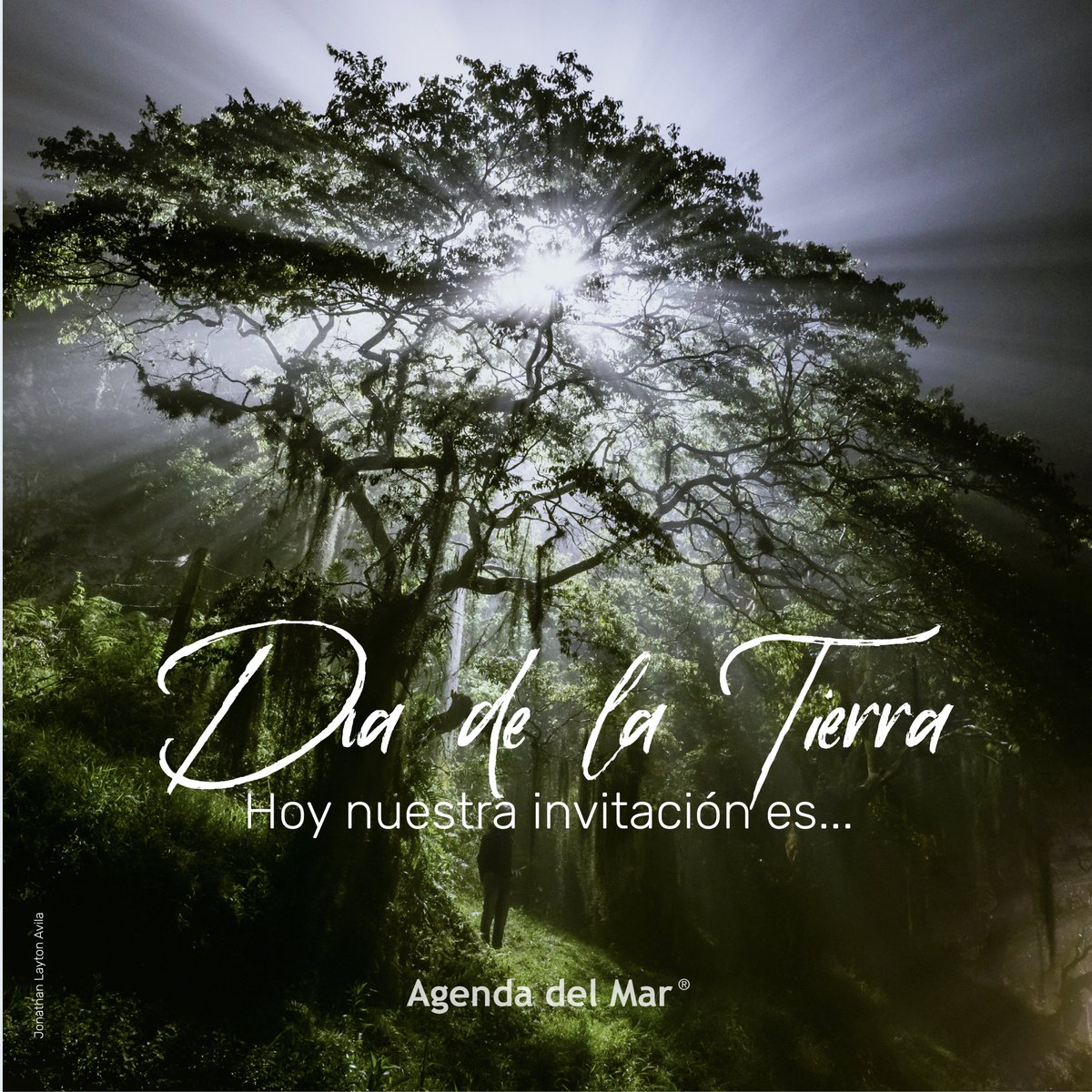 Cuidar a nuestra Madre Tierra 🌎🌊💙

Este  Día de la Tierra, recordemos que la Tierra nos necesita más que nunca,  pero nosotros más a ella.