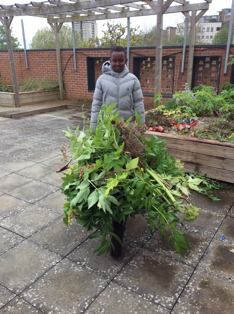 Ronald Ross have a gardening club which will tackle any challenge, no matter how huge...