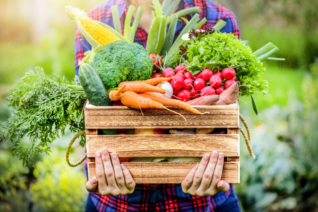 Knowing where our food comes from gives us confidence in its goodness, plus we save about $5,000 a year through our gardening and food storage efforts. Learn which crops to grow to keep you and your family fed through the winter. motherearthnews.com/organic-garden…