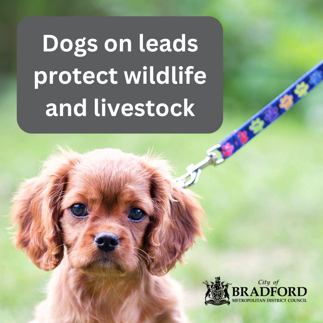 Dogs should be kept on a short lead on moorland & farmland to protect wildlife during ground-nesting season & livestock during lambing season. For information on the Countryside Code and the law around dog walking in the countryside visit orlo.uk/4jYd3