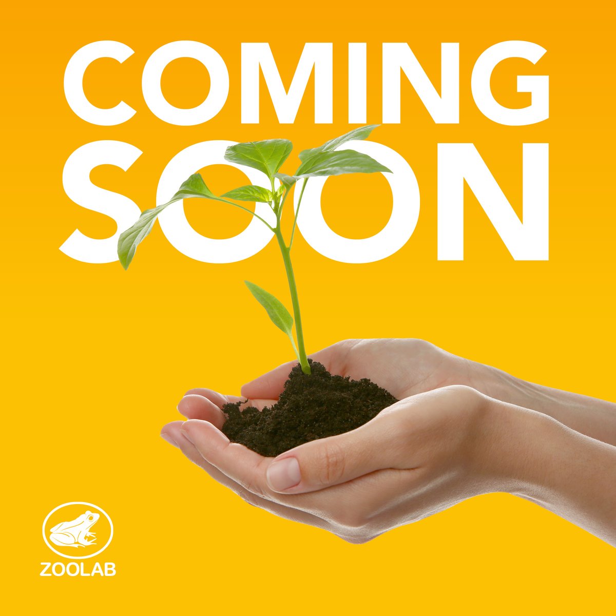 We're working on something exciting behind the scenes here at ZooLab! 🌍🌿 Keep an eye out on our socials on Monday for all the details! #ukedchat #edteach #scottishteacher