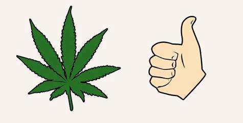 420's tweet image. every day is 4/20