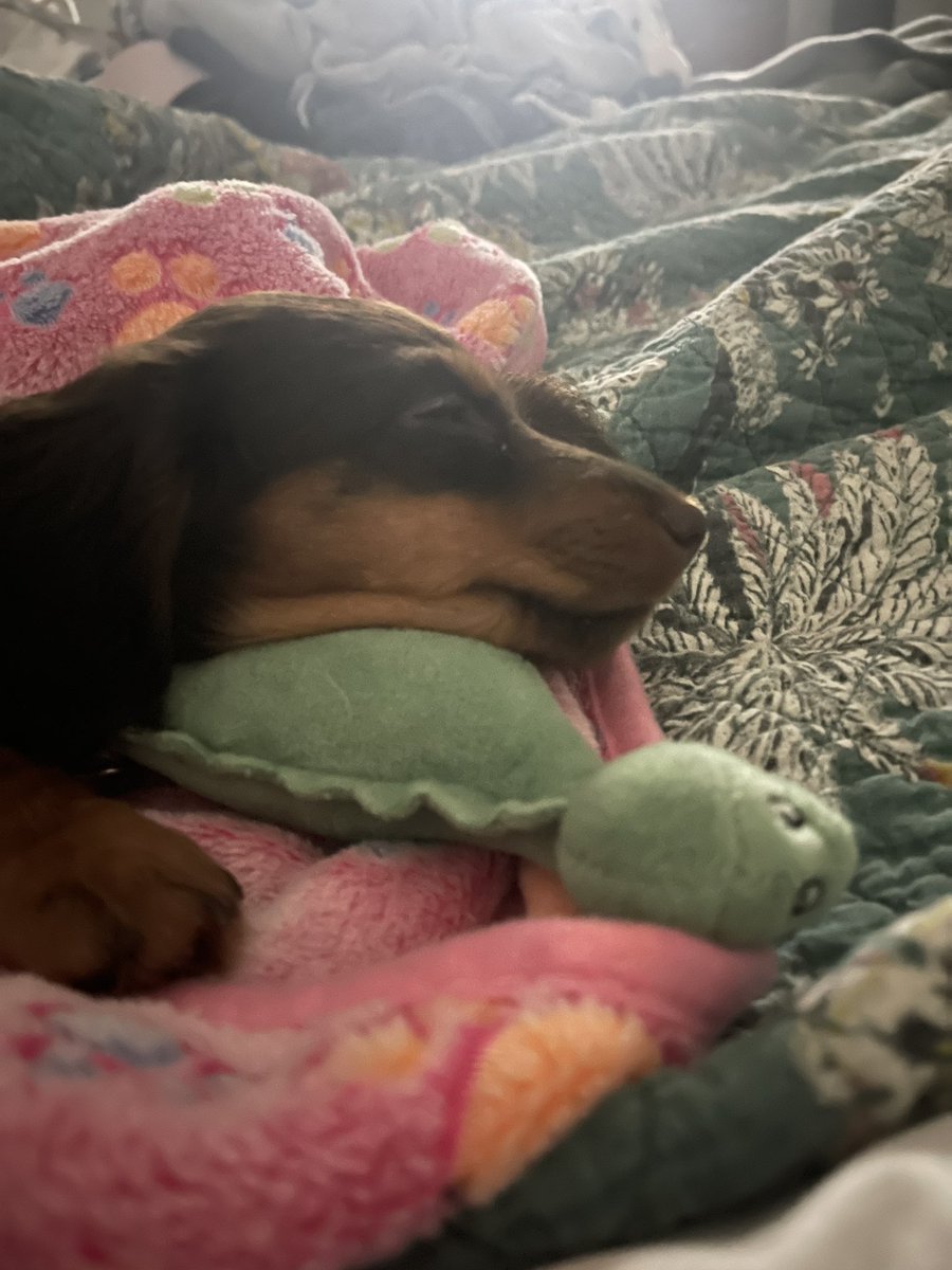 Since I posted that pic of some douche bag basically naked calling himself a DILF, here is a palate cleanser. Last night Lola fell asleep with her dinosaur.