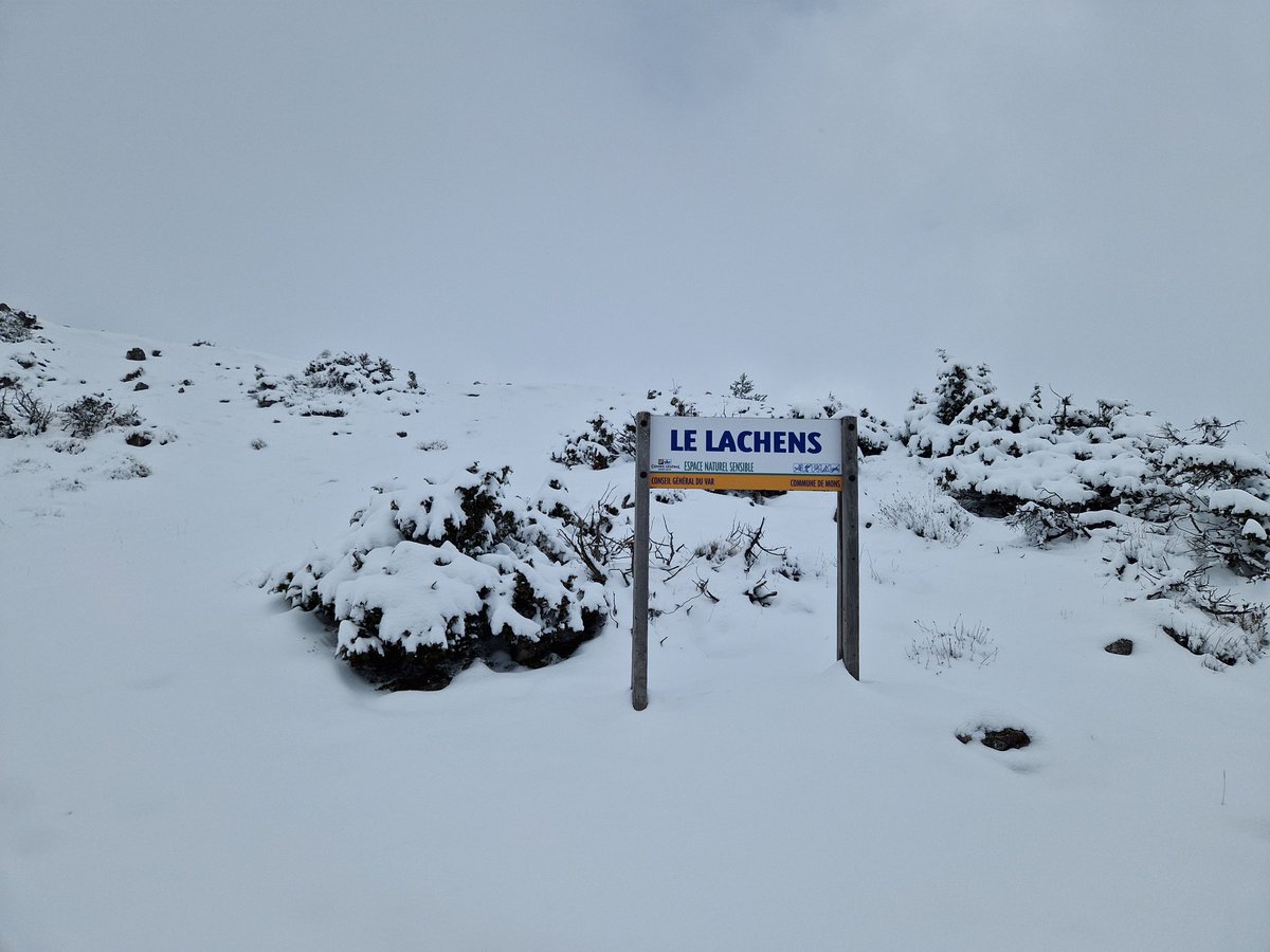 22/04 17h45 ❄️❄️❄️ En direct de la montagne de Lachens à plus de 1700m d'altitude dans le Nord-Est du #Var. Paysage complètement hivernal avec environ 15cm au sol. Des chutes de #neige ponctuellement accompagnées de coups de tonnerre ces dernières heures.
Photos Météo-Varoise.