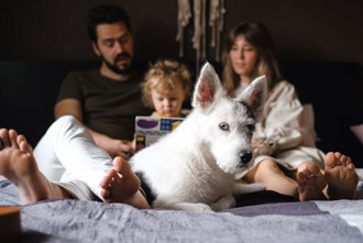 Dogs can be great companions for your children, but there are some safety tips to be aware of - give your dog their own safe space to go to when they need time away and teach your child to be kind to their four legged friend. @CAPTcharity has more advice capt.org.uk/dogs-and-child…