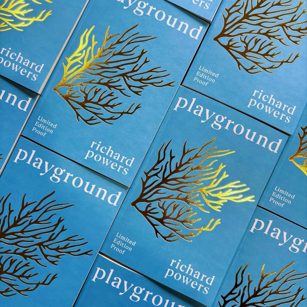 🪸 GIVEAWAY TIME 🪸 We are giving away three exclusive proofs of PLAYGROUND, the highly anticipated new novel by Pulitzer Prize-winning, twice Booker-shortlisted author Richard Powers. For a chance to win, retweet this post and follow us!