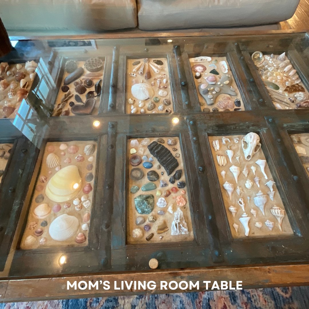 Fiat_Lucre's tweet image. Check out my mom's shell and fossil collection on display in her house. Comment below which one you would say is the most BRIGHT.
.
.
.
#fossils #fossilcollection #shells #shellcollection #MyCollection #Collection #CollectorLife #Collectors #bones