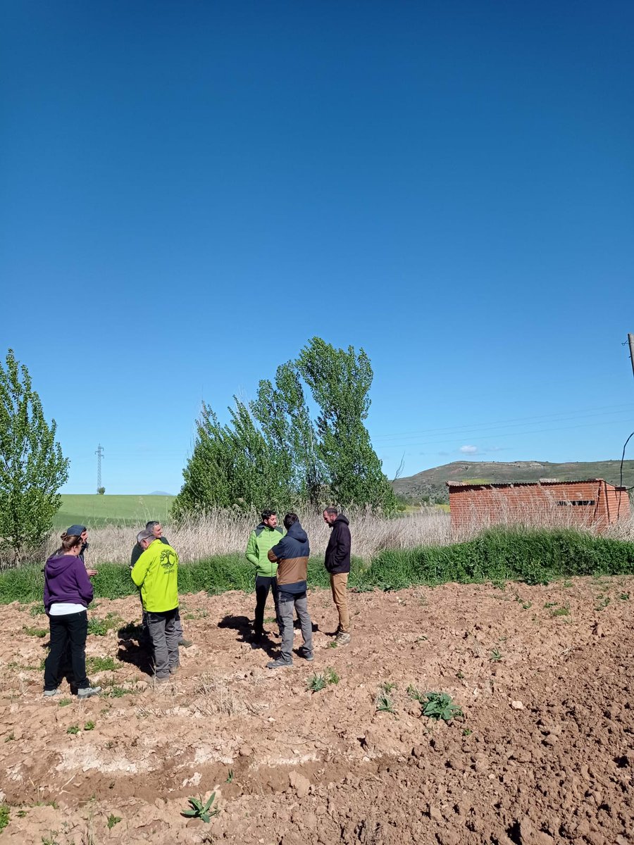 A_Micorriza's tweet photo. En la celebración del #DíaDeLaTierra y del 11° aniversario de #Micorriza, el equipo técnico ha evaluado la #fuente vieja de #Matillas #Guadalajara
También se ha acercado a #MatillasLaVieja, viendo los rastros que dejan los habitantes actuales, excremento posiblemente de #gineta https://t.co/P8LNGGwDIT