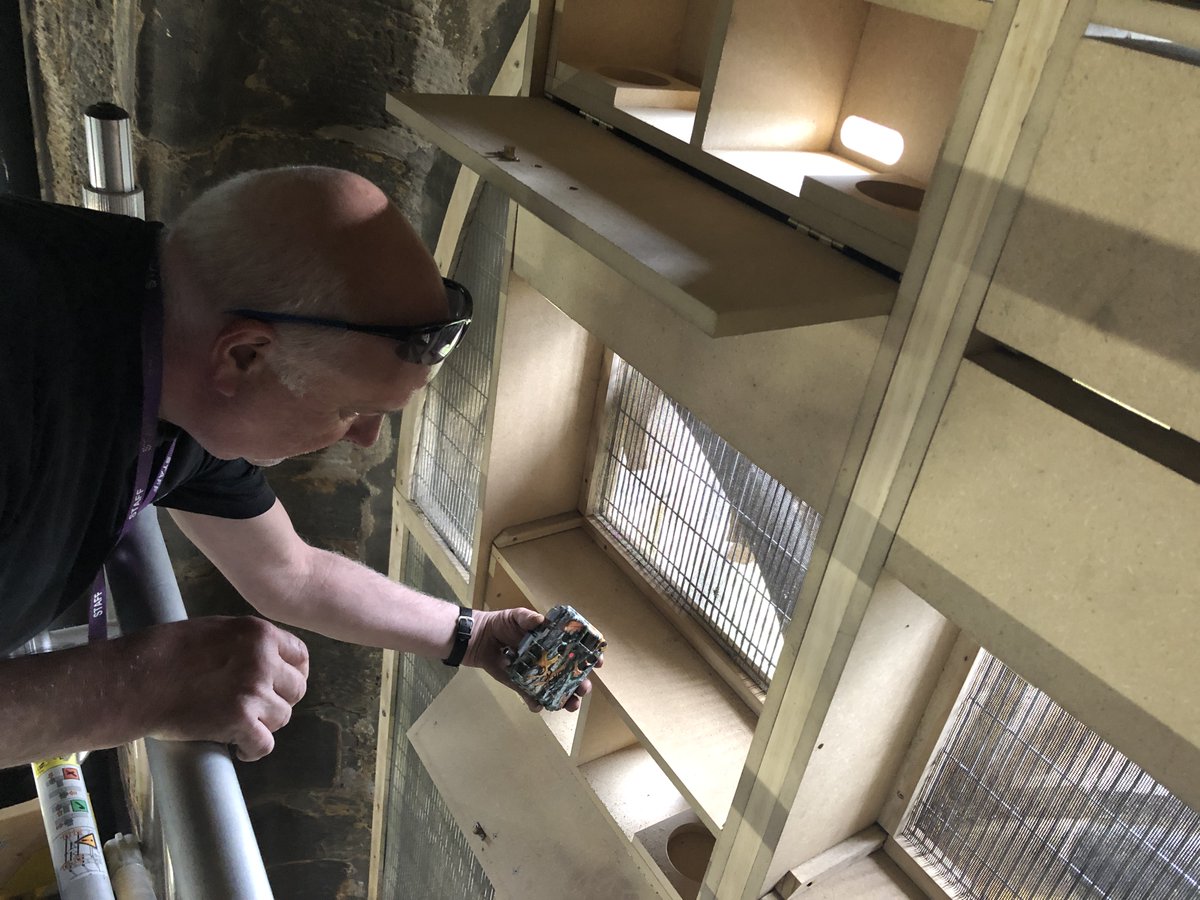 Durham Cathedral tweet media