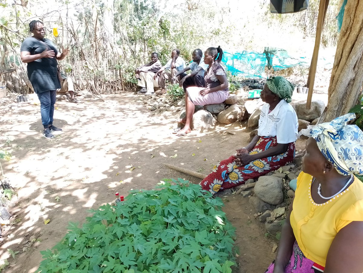 #EarthDay2024 , we celebrate biodiversity conservation journey in drylands integrating agroforestry and crop farming in support of #agroecology for #ClimateAction