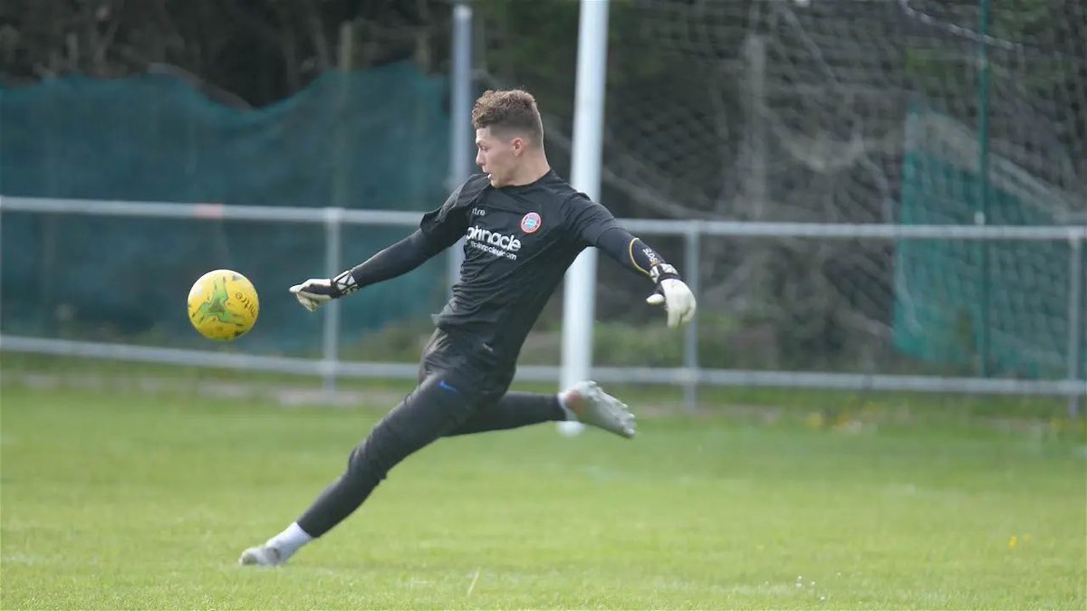 GK - Harrison Male

This feels like a very obvious one. Dorking have been relegated, and Male is far too good to be returning to NLS

He played under Hinshelwood at Worthing, is originally from Yorkshire, and therefore feels like the perfect fit here