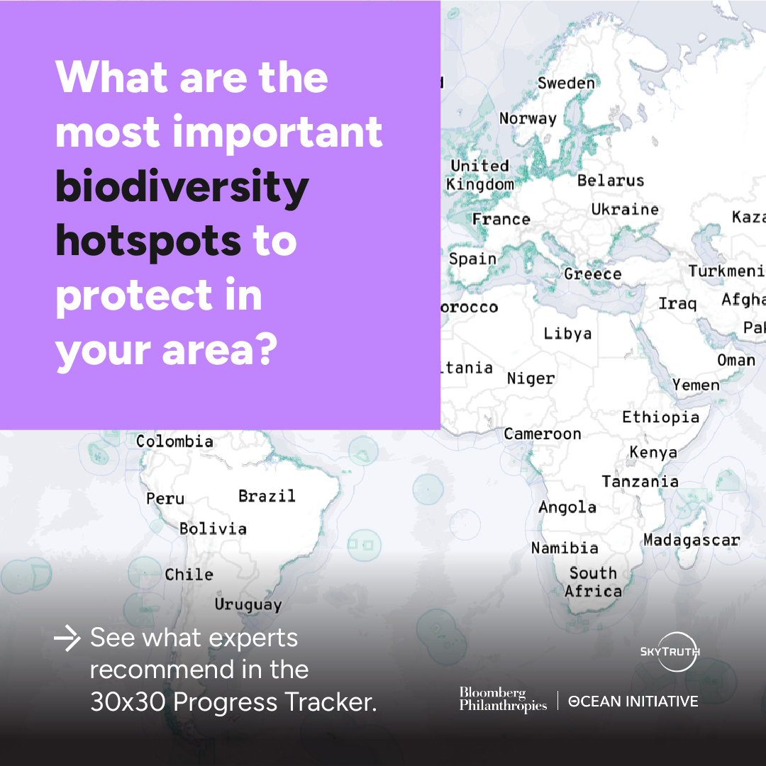 In honor of #EarthDay, tell us what areas near you need the most protection. Let us know in a comment! Check out the @SkyTruth and @BloombergDotOrg 30x30 Progress Tracker to find out what your country is doing to reach its 30x30 goals. 30x30.skytruth.org