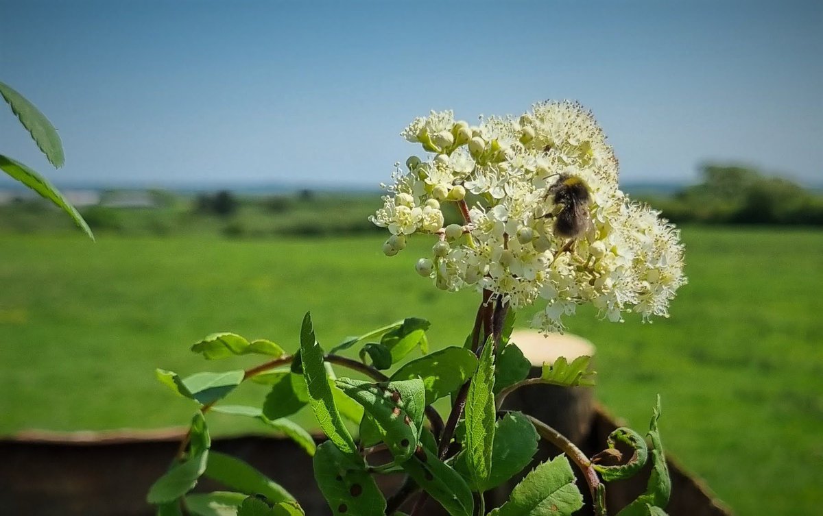 Leedam Natural Burial Grounds tweet media