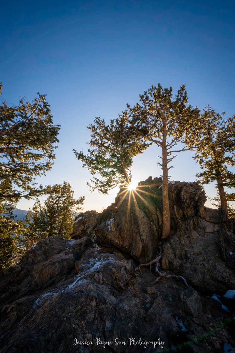 'Sunday morning in RMNP 💕'

📸: Jessica Payne Sun Photography